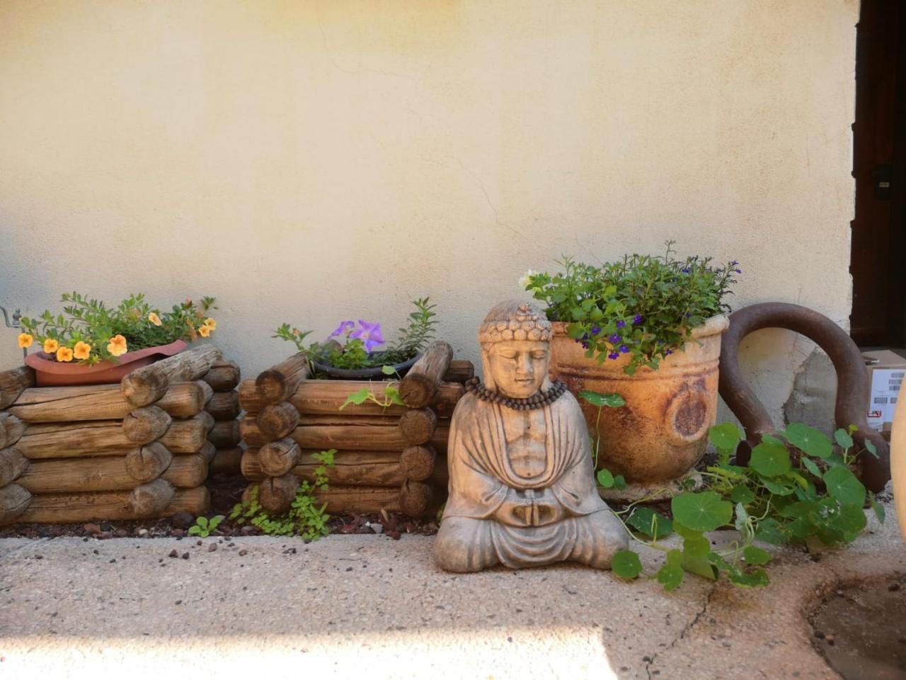 Red Sea Garden Apartment 埃拉特 外观 照片